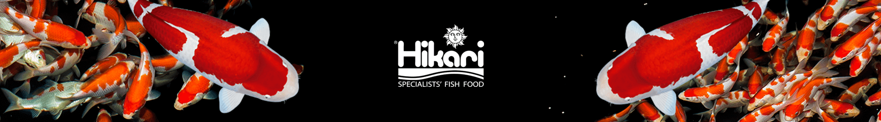 Hikari