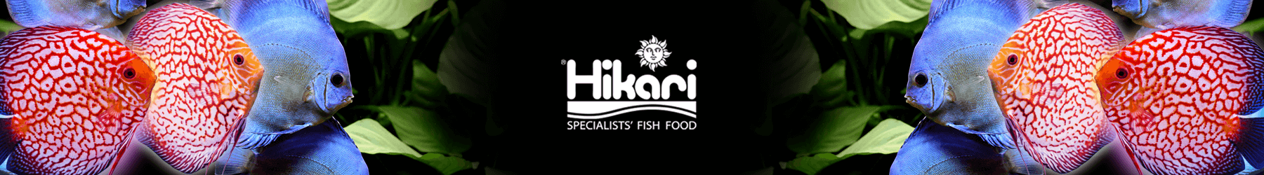 Hikari