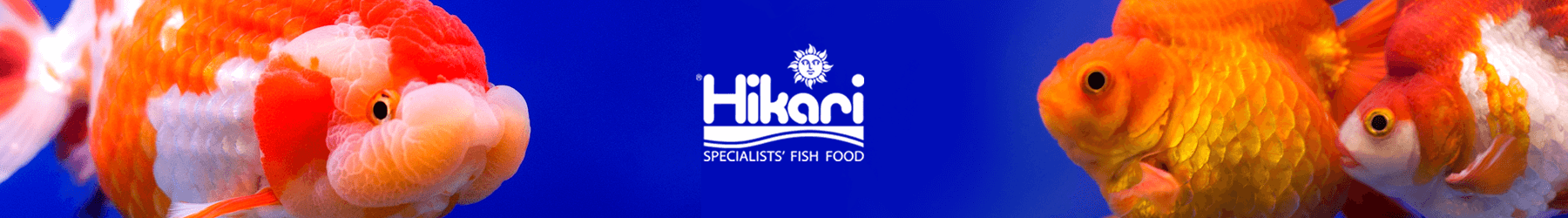 Hikari